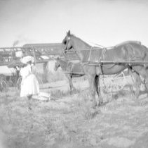 Negative, Sheet Film