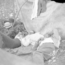 Negative, Sheet Film