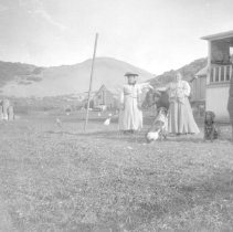 Negative, Sheet Film