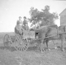 Negative, Sheet Film