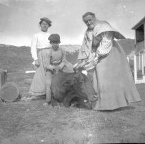 Negative, Sheet Film