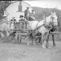 Negative, Sheet Film