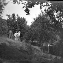 Negative, Sheet Film