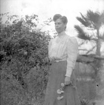 Negative, Glass Plate