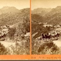 Stereograph