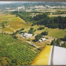 Aerial View of Gaddini/Wilson Winery