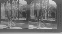 Tour of the World Stereograph Collection