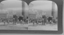 Tour of the World Stereograph Collection