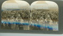 Tour of the World Stereograph Collection