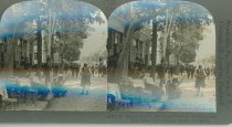 Tour of the World Stereograph Collection