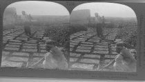 Tour of the World Stereograph Collection