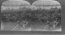 Tour of the World Stereograph Collection