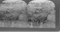 Tour of the World Stereograph Collection