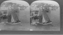 Tour of the World Stereograph Collection