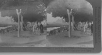 Tour of the World Stereograph Collection