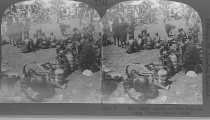 Tour of the World Stereograph Collection