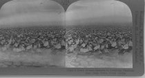 Tour of the World Stereograph Collection