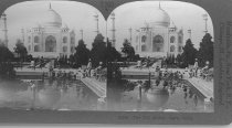 Tour of the World Stereograph Collection