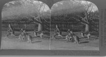 Tour of the World Stereograph Collection