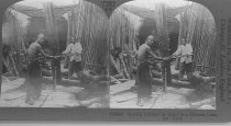 Tour of the World Stereograph Collection