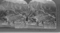 Tour of the World Stereograph Collection