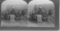 Tour of the World Stereograph Collection