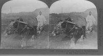 Tour of the World Stereograph Collection