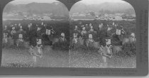 Tour of the World Stereograph Collection