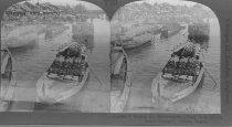 Tour of the World Stereograph Collection