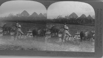 Tour of the World Stereograph Collection