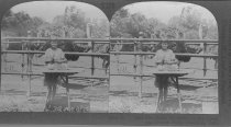 Tour of the World Stereograph Collection