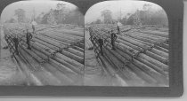 Tour of the World Stereograph Collection
