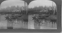 Tour of the World Stereograph Collection