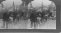 Tour of the World Stereograph Collection