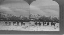 Tour of the World Stereograph Collection