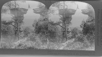 Tour of the World Stereograph Collection