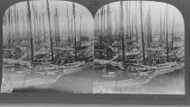 Tour of the World Stereograph Collection