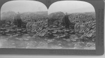 Tour of the World Stereograph Collection