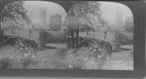 Tour of the World Stereograph Collection