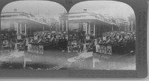 Tour of the World Stereograph Collection