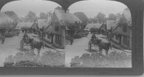 Tour of the World Stereograph Collection