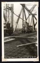 Plant for roadway [012PC49.146]