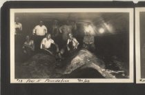 Pier 5 Foundation [012PC49.013]