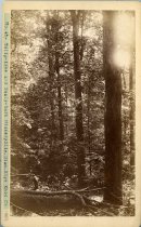 Rogers Clark Ballard Thruston Mountain Collection - RCBT-MT-204