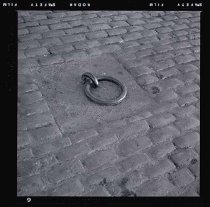 Ivey Watkins Cousins Negative Collection - IWC-0403