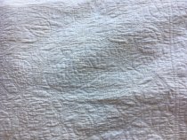 Whig Rose Quilt also known as Kentucky Rose Quilt