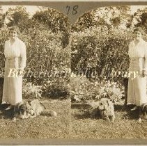 Mrs. Barber in garden with dogs Laddy Boy, Paddy and Bob