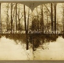 View looking north down the bridle path