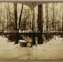 View looking west down the bridle path