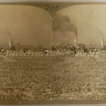 Workers gathering grains from fields near Diamond Match Co.